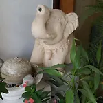 Green Home Hostel And Massage