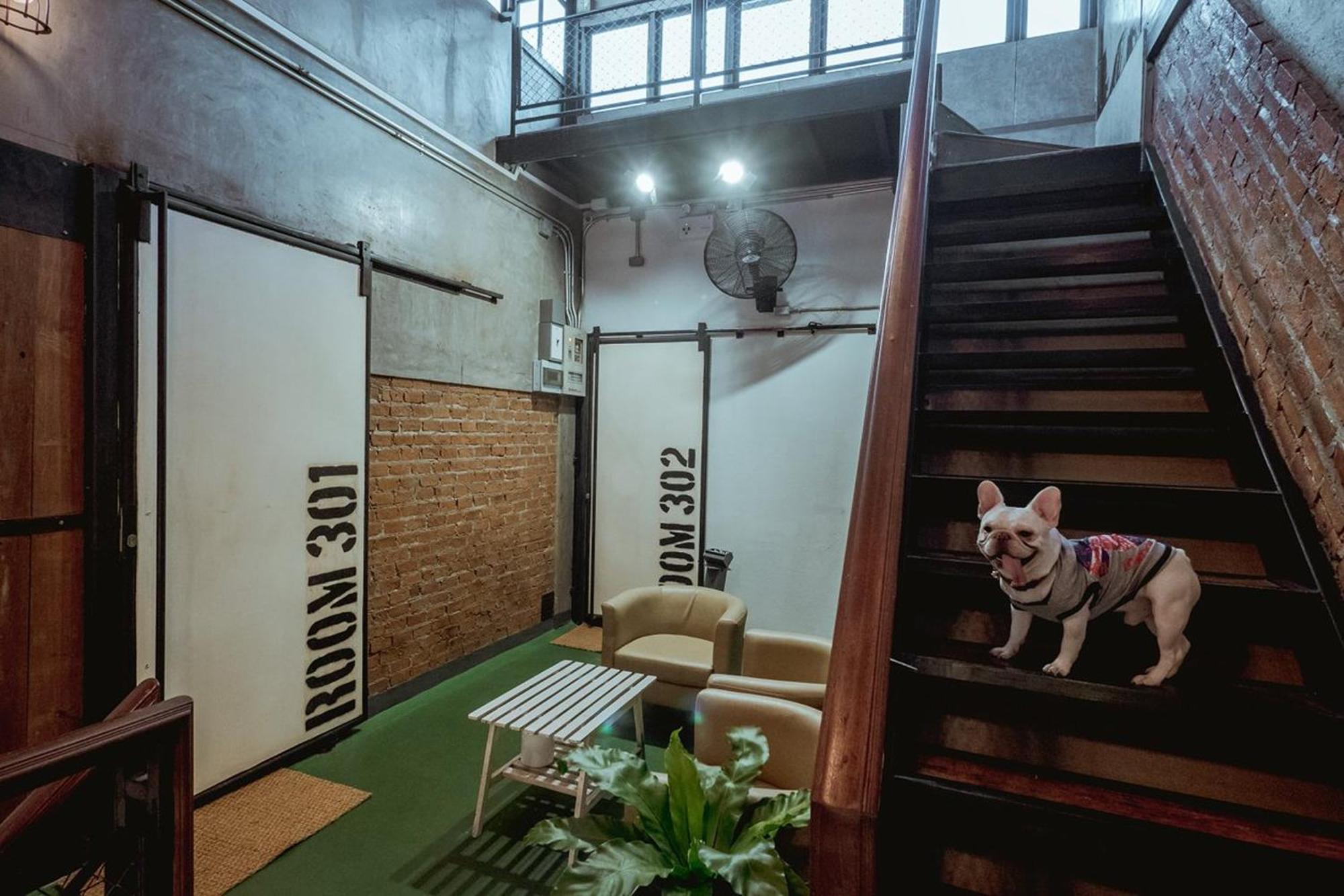 Zeds Hostel