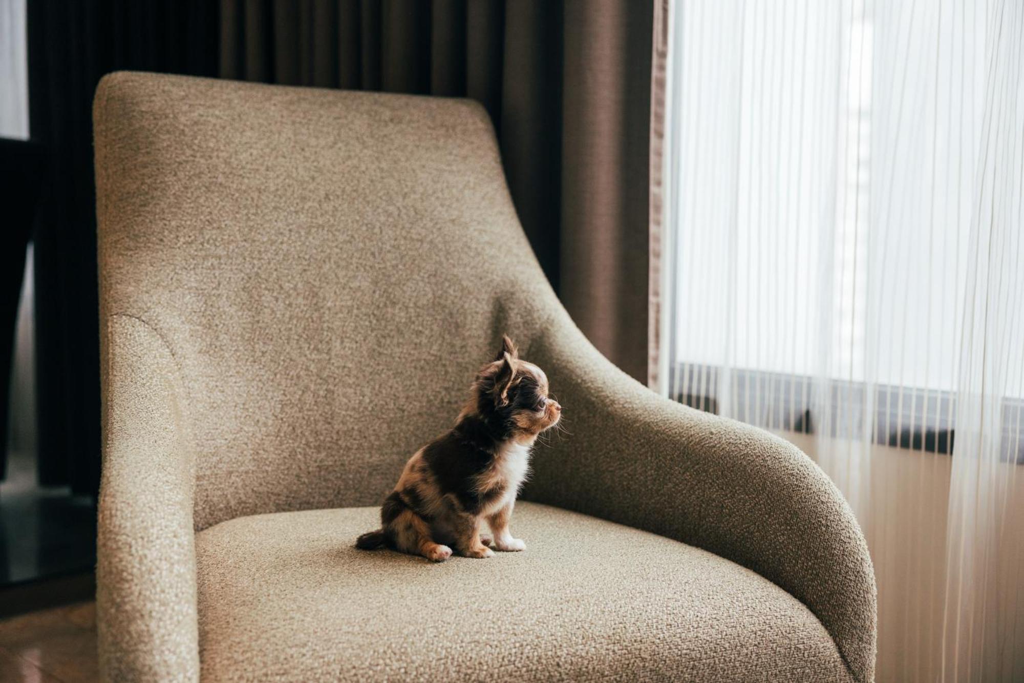 Hotel Doubletree By Hilton Sukhumvit 5*