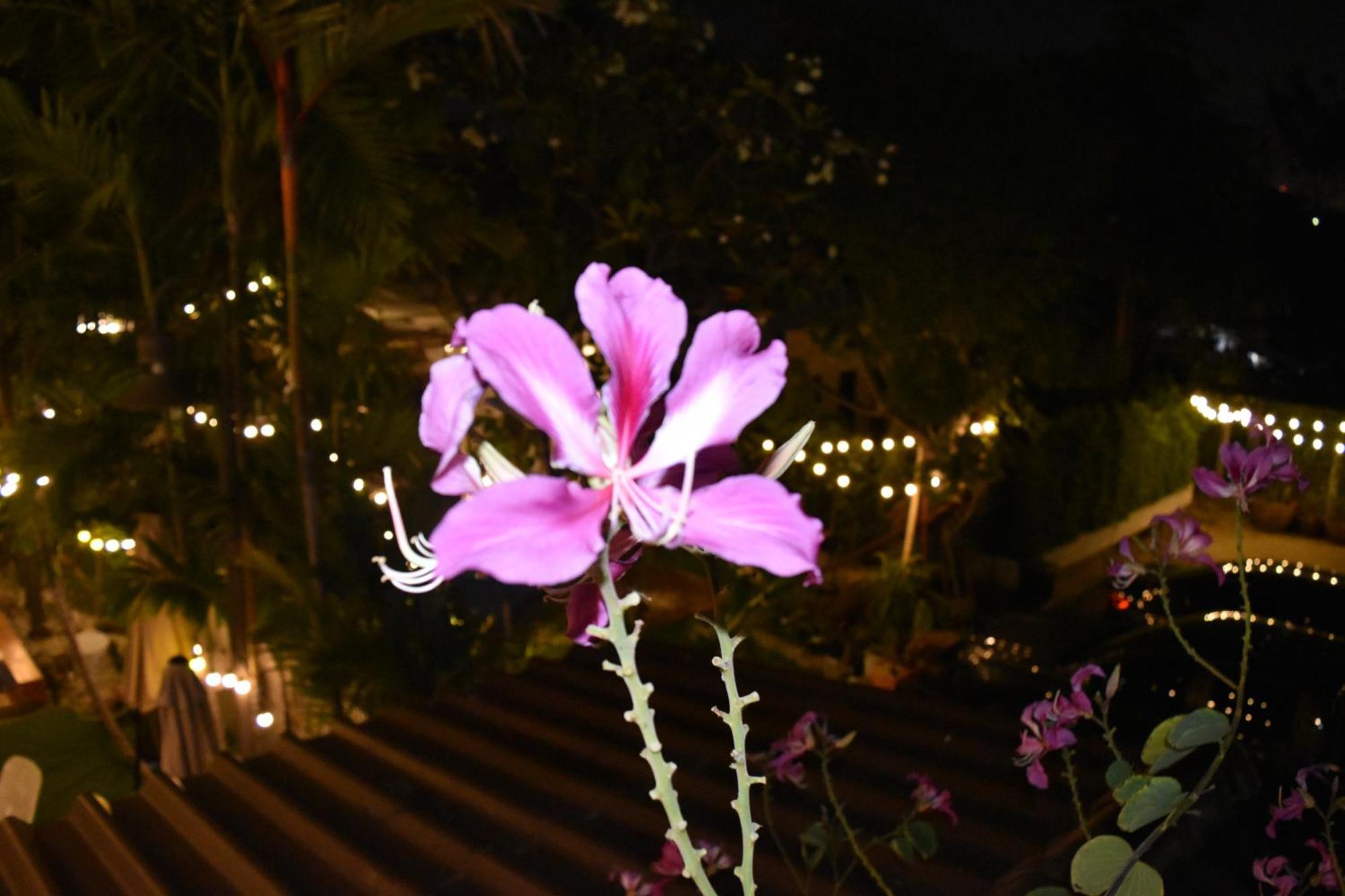 Hotel Thongtara House Boutique Srinakarin 4*