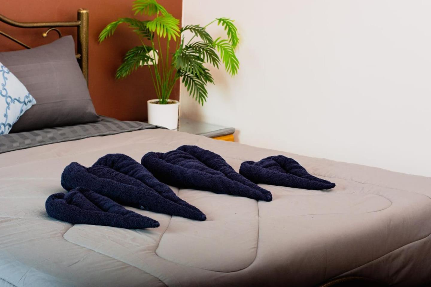 Bm Albergue Bangkok