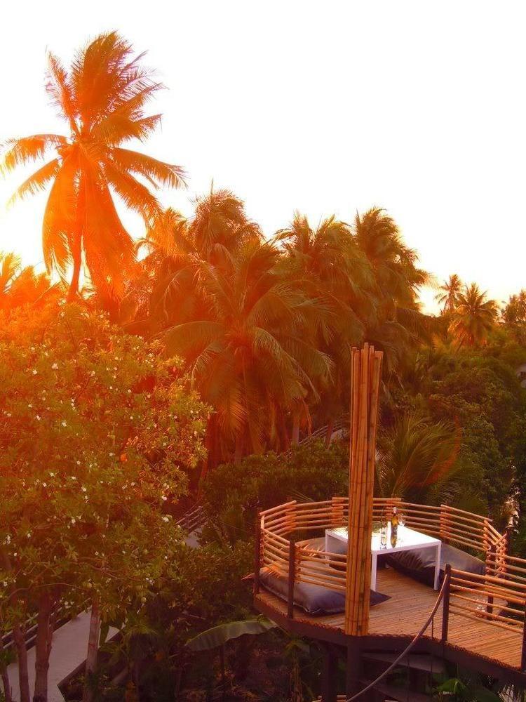 Tree House Bang Kachao Resort