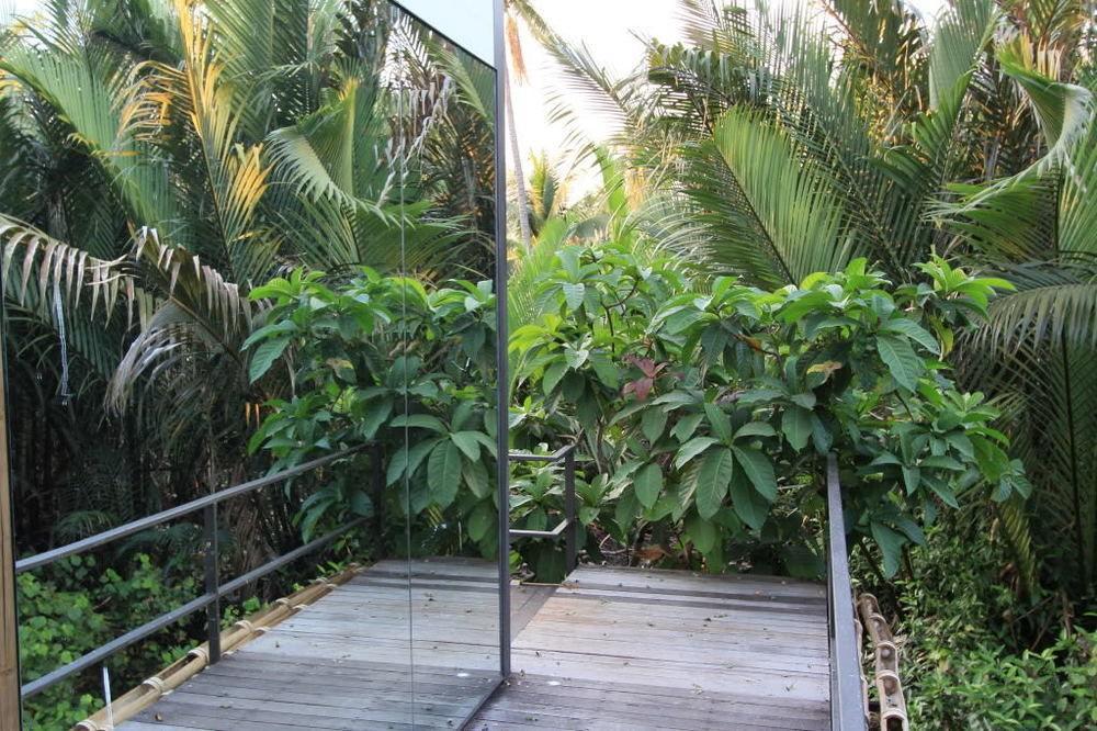 Tree House Bang Kachao Resort