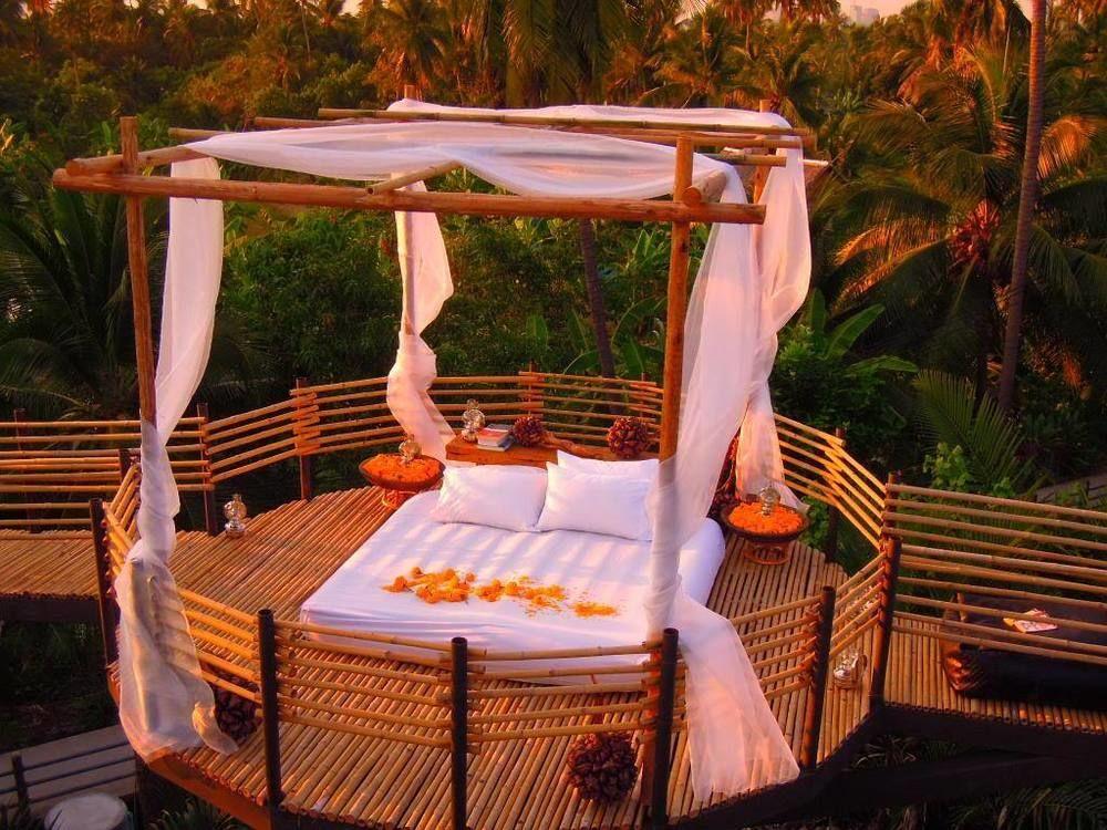 Tree House Bang Kachao Resort