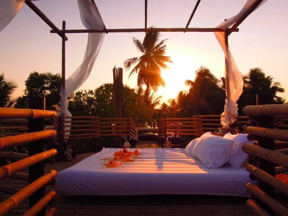 Tree House Bang Kachao Resort 4*