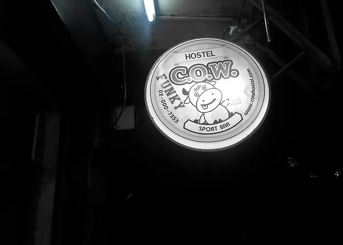 Wacky Fun Party Hostel