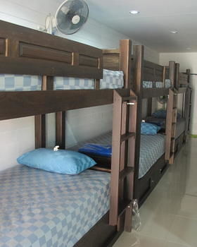 Back Backpackers Albergue