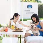 Shama Yen-Akat Bangkok