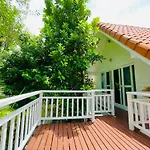 The Backyard 28
