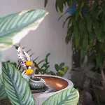 A House Boutique Guesthouse