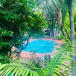 The Backyard 28
