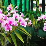 Kaloang Home
