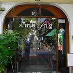 Amazing House