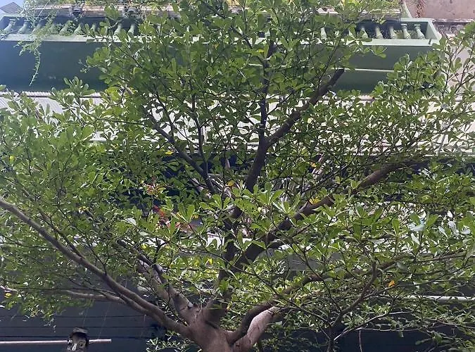 Nesuto Hostel&Cafe Ramkamhaeng 52