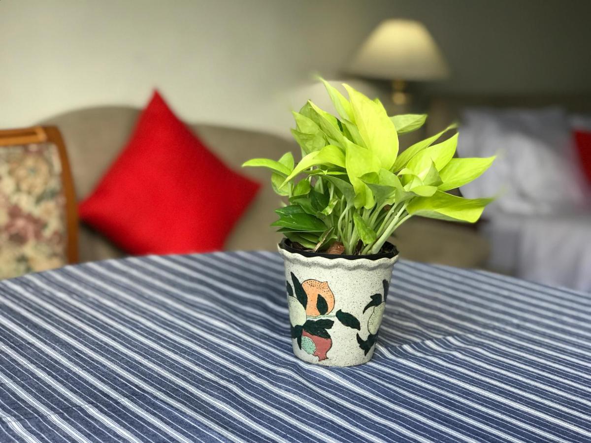 Cozy Central 25th Floor Beautifull Balcony Apartment *