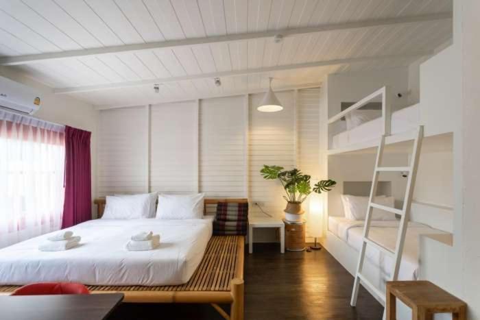 Lin Poshtel 林 Albergue