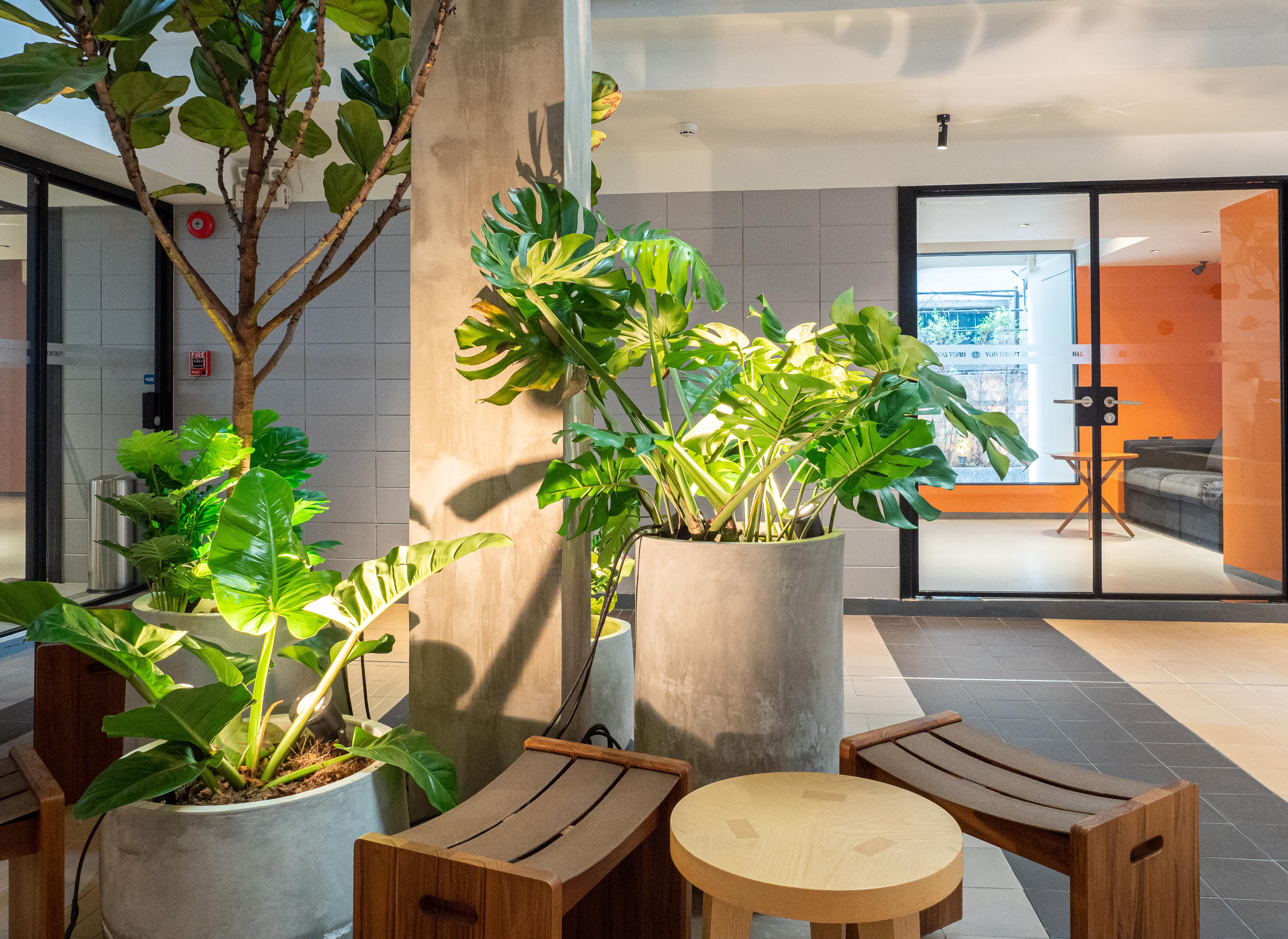 Hostel Lub D Siam - Opposite Mbk & Next To Skytrain - Perfect For Shopping Lovers!