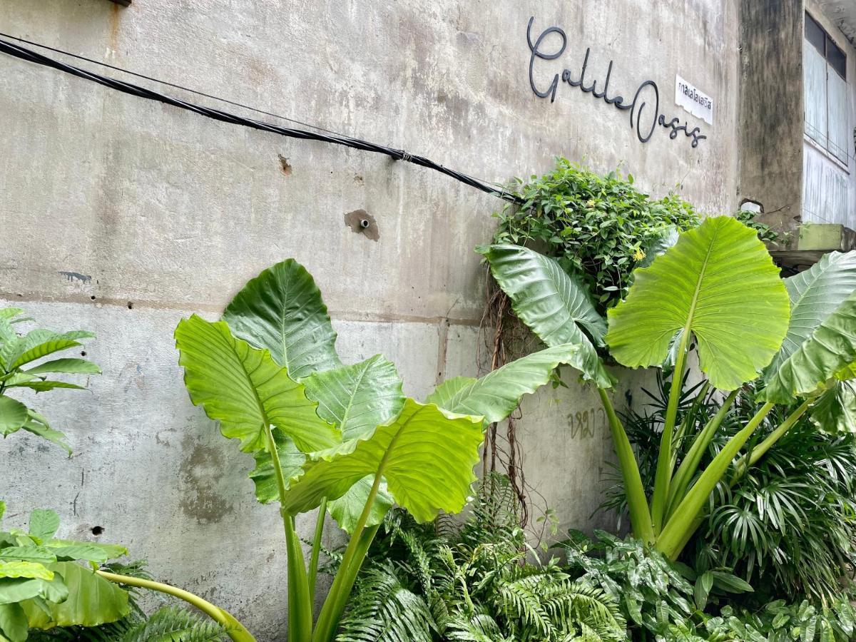 Galileoasis Boutique Hotel