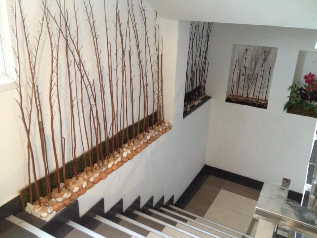 Hotel Latin Garden