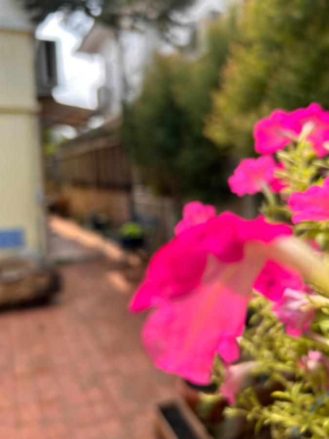 Summer Apartel Appartement