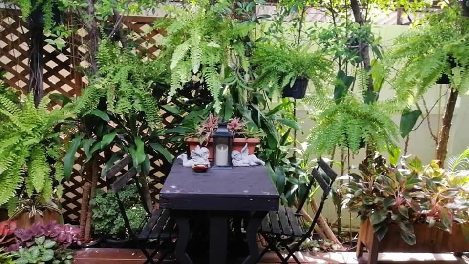 37 Nature House Hospedagem domiciliar
