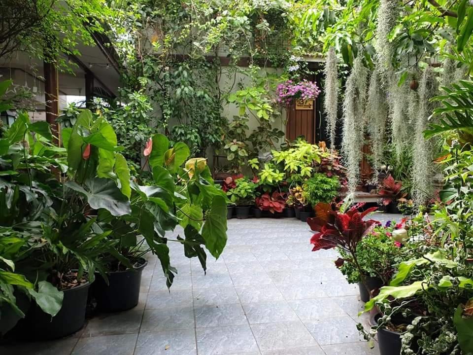 37 Nature House Hospedagem domiciliar