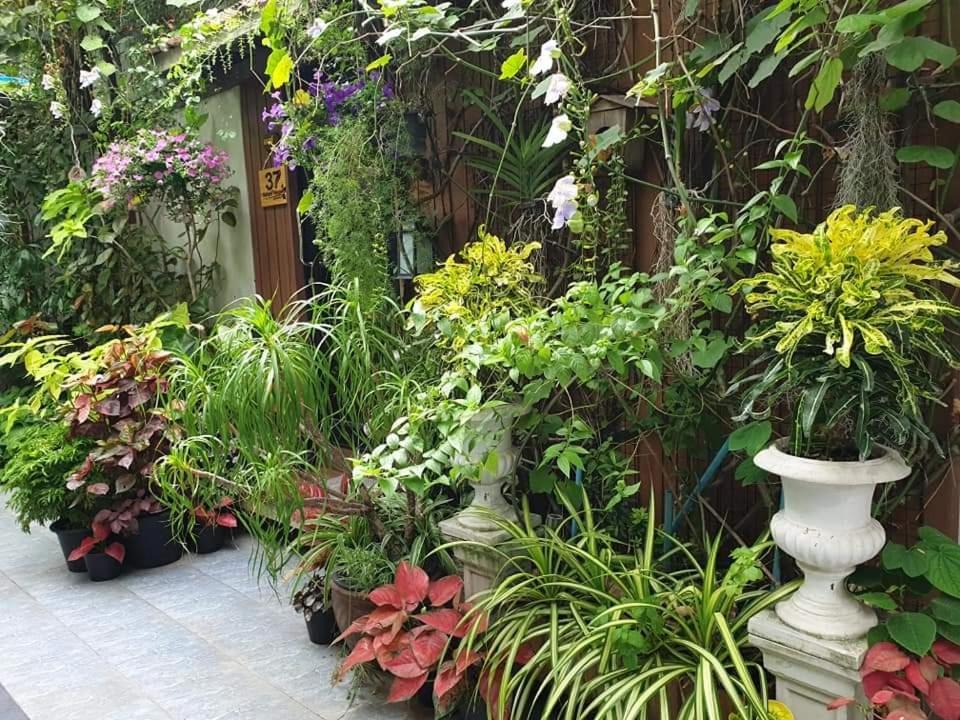 37 Nature House Hospedagem domiciliar