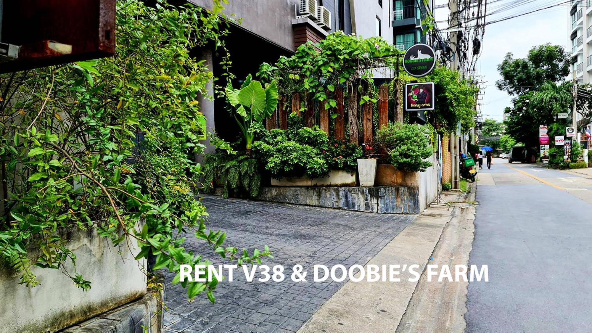 Rent V38 Aparthotel