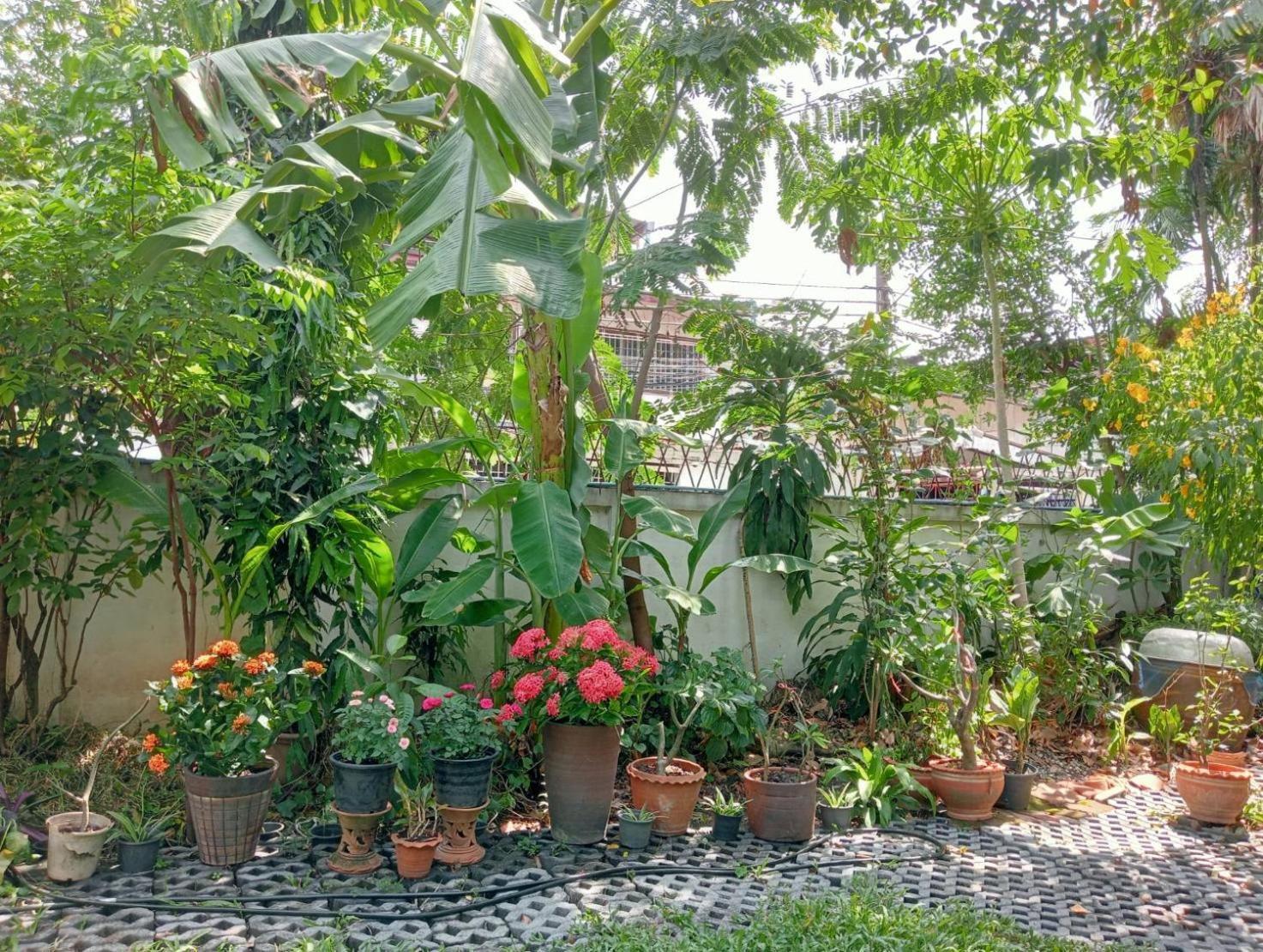 Young And Beautiful Guest house Bangkok