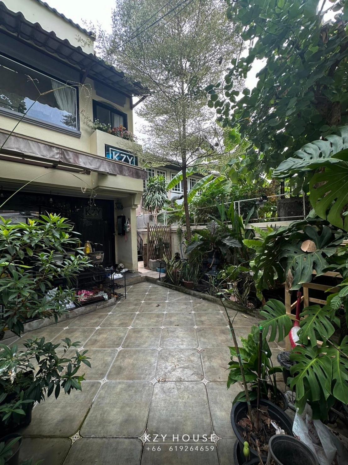 Kzy House Homestay *