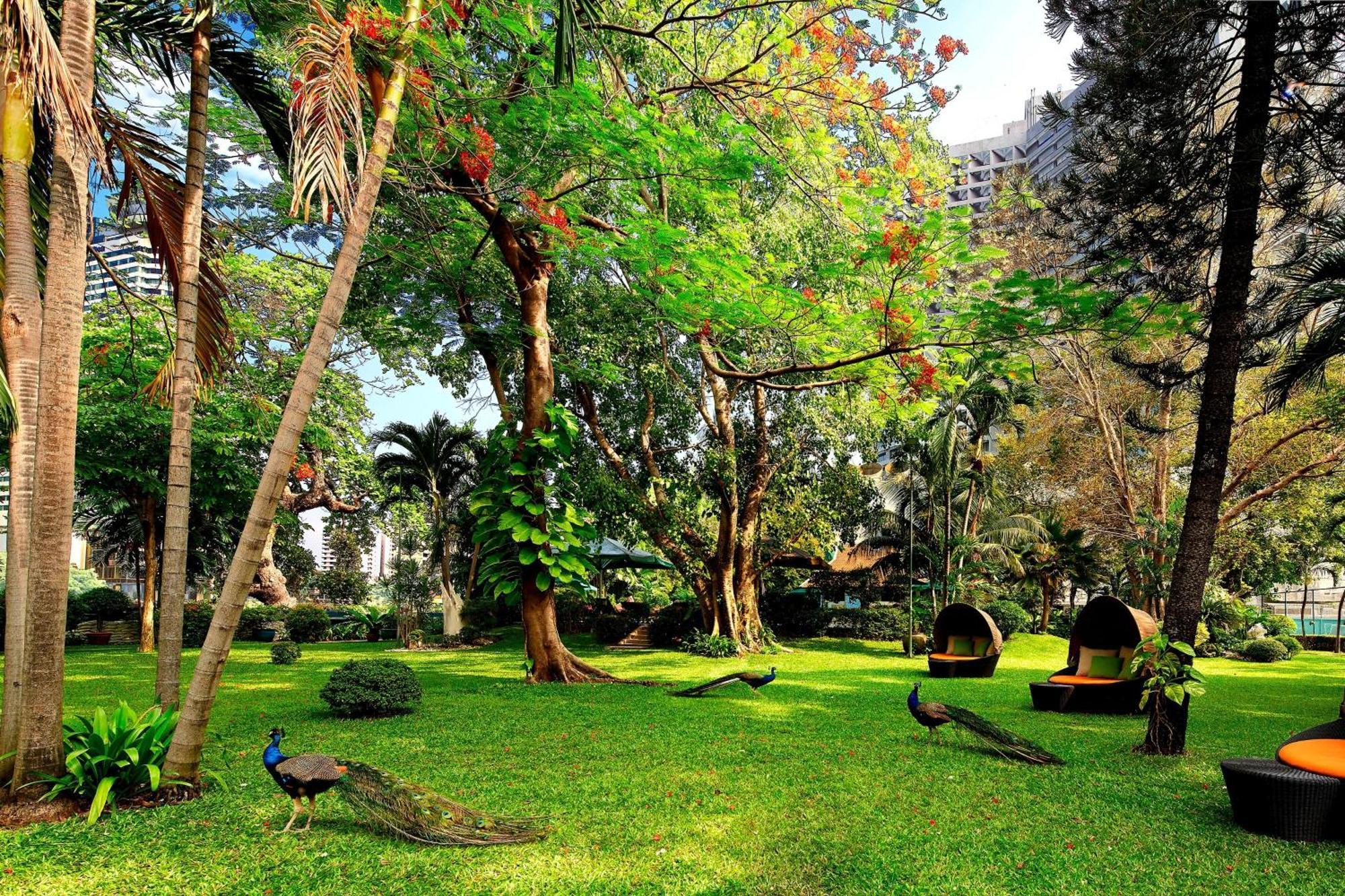 Royal Orchid Sheraton Riverside