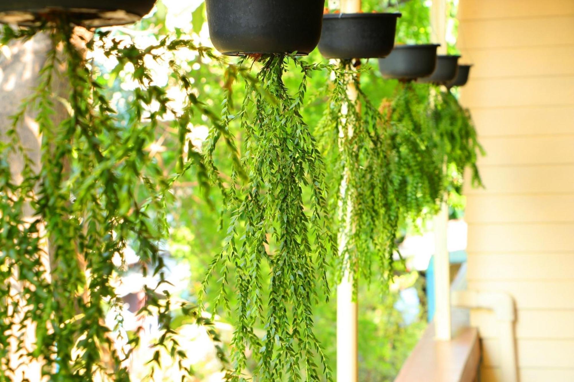 Holiday home Baankhon Private In Thai House Check In By Yourself Code Inbox Adult Only Bangkok