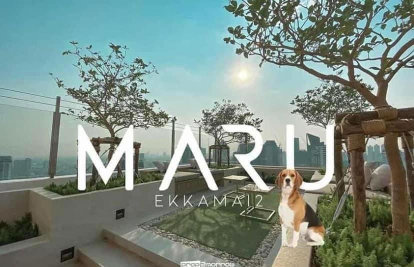 Maru Ekkamai 2 - Ekkamai Bts Bangkok