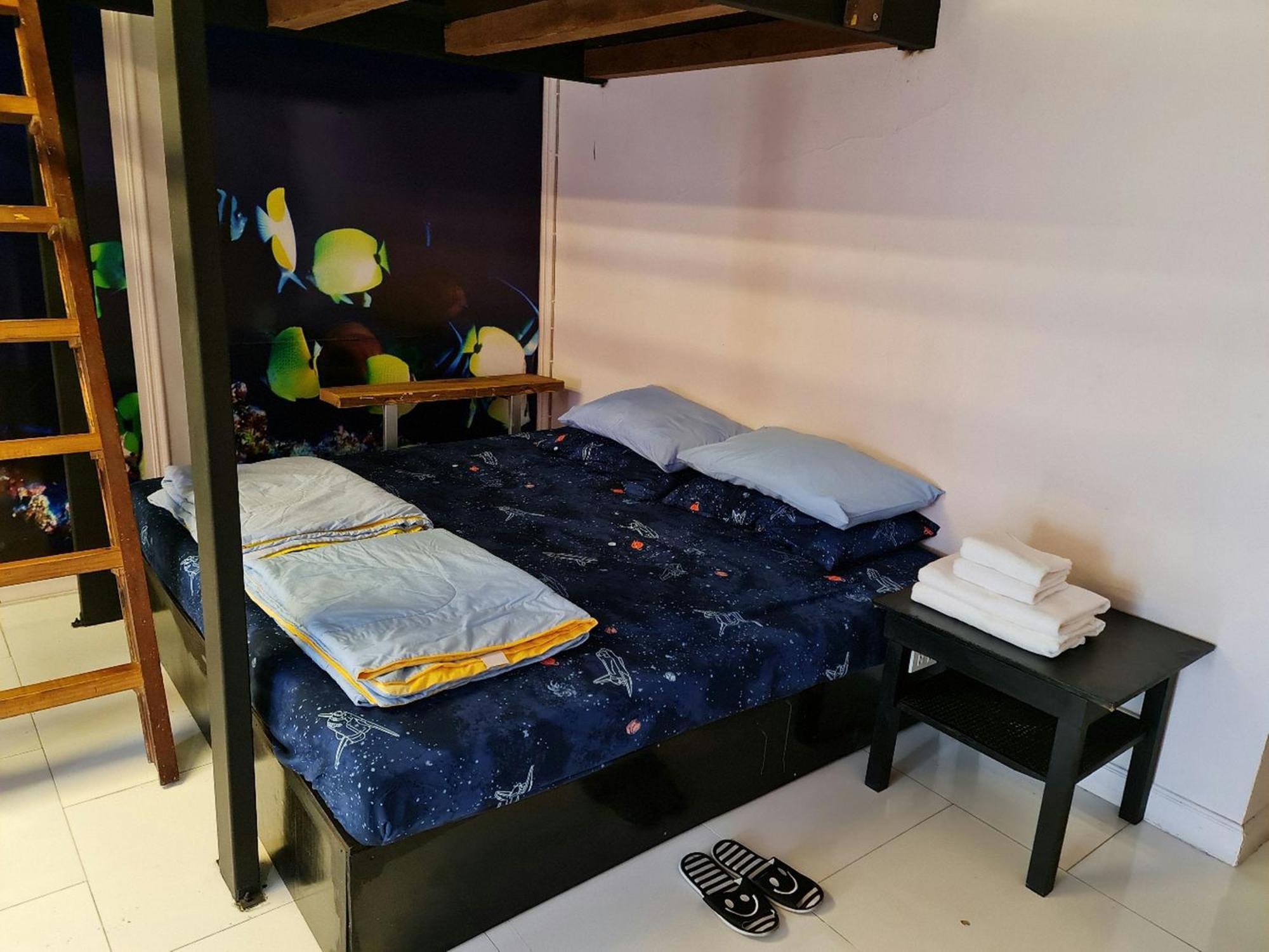 Albergue Ddm House