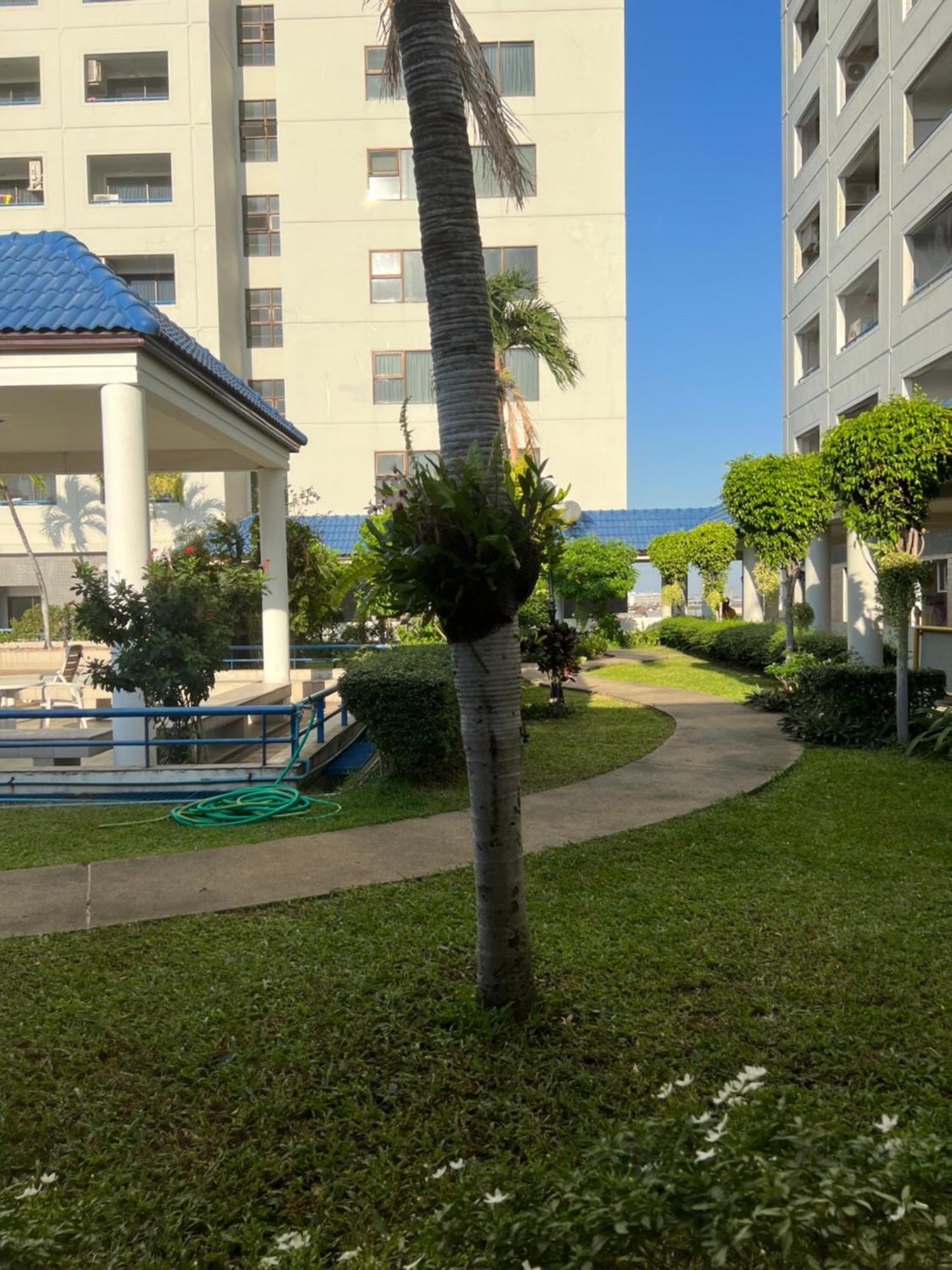 Regent Srinakarin 19a *