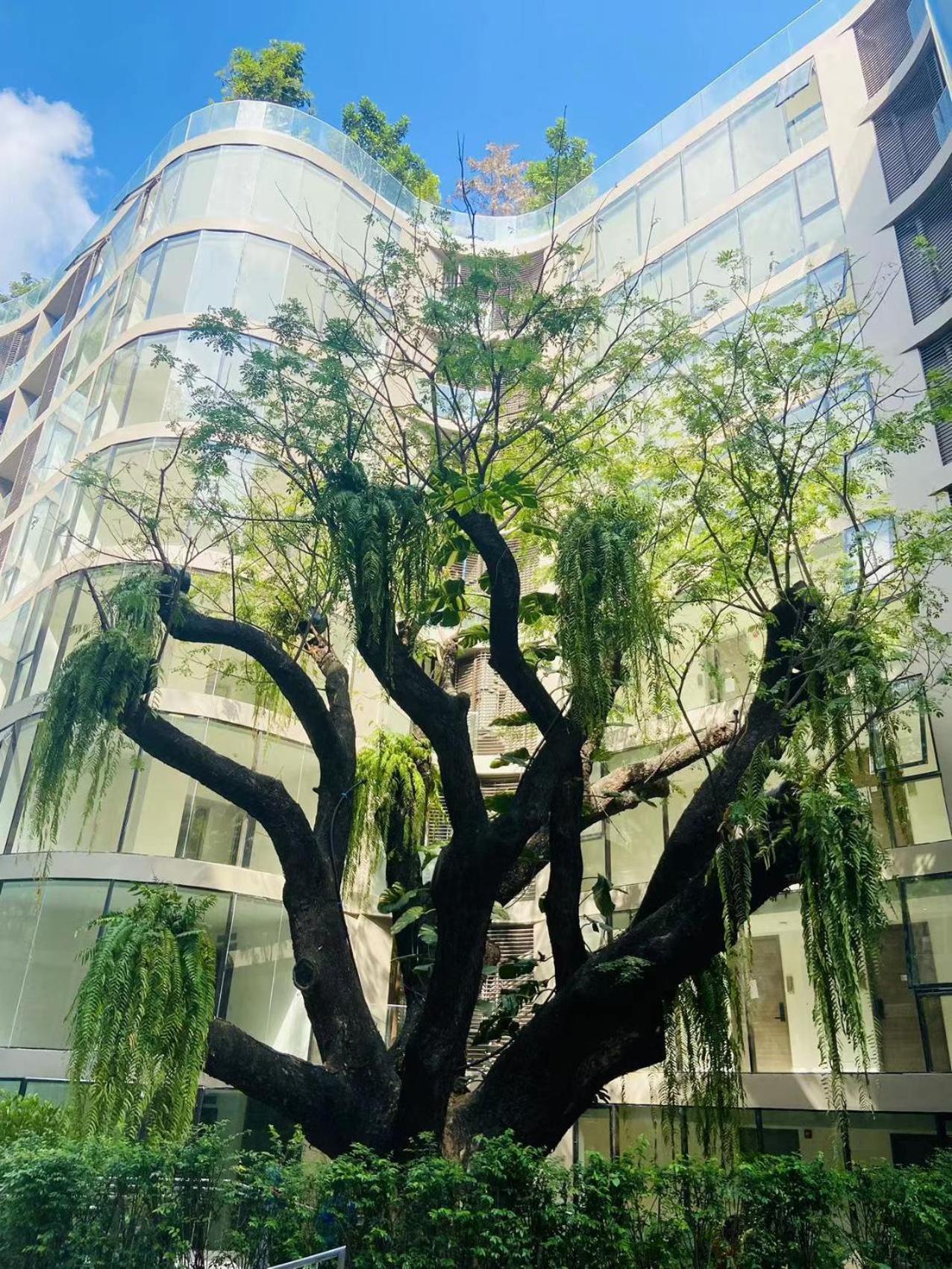 Apartment Sukhumvit10 Asoke Nana Terminal 21 Korea Town 96