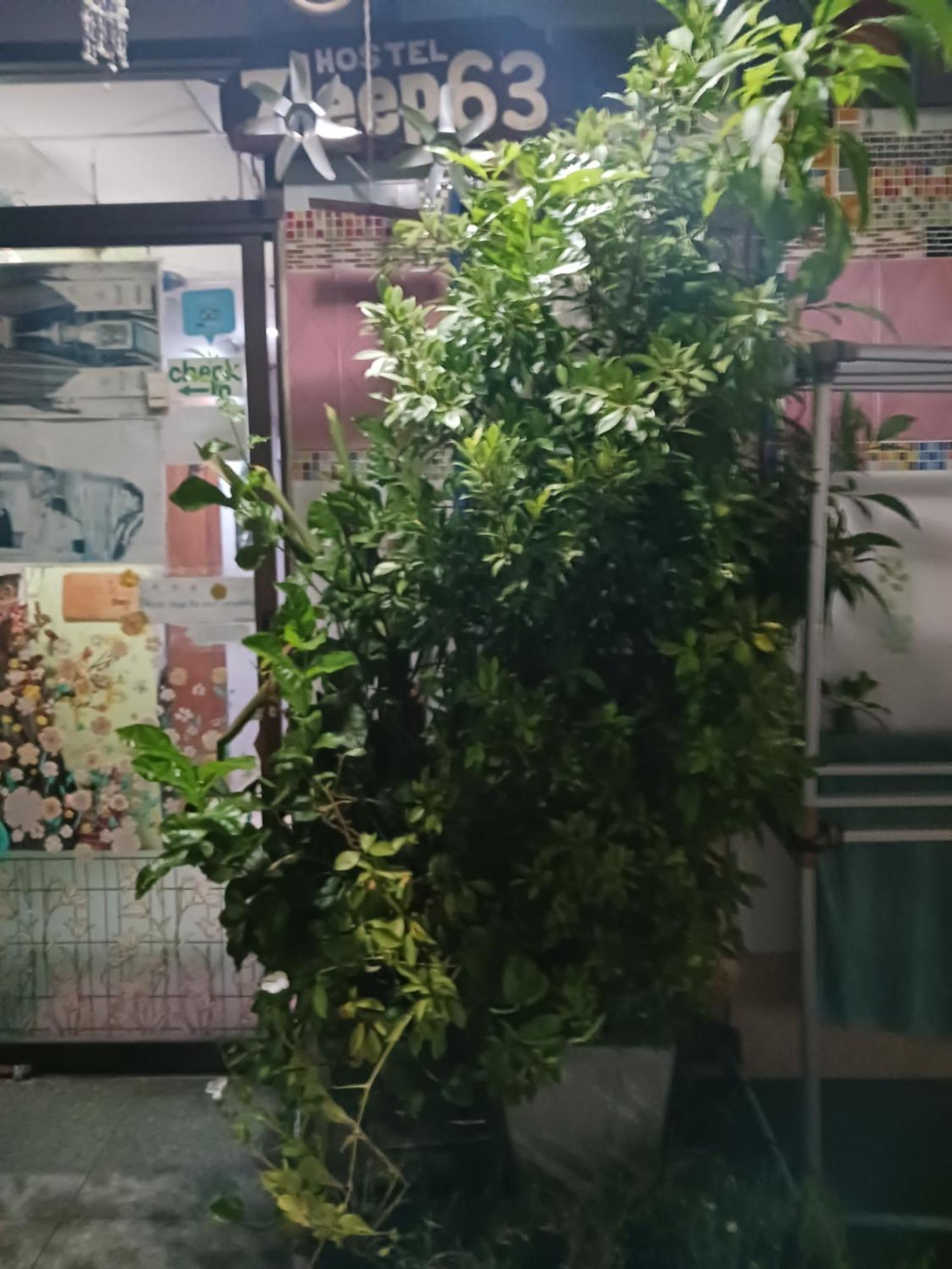 Zleep63 Hostel
