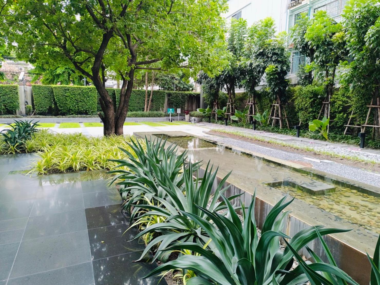 Cozy Poolside In Prime Location In On Nut Area *