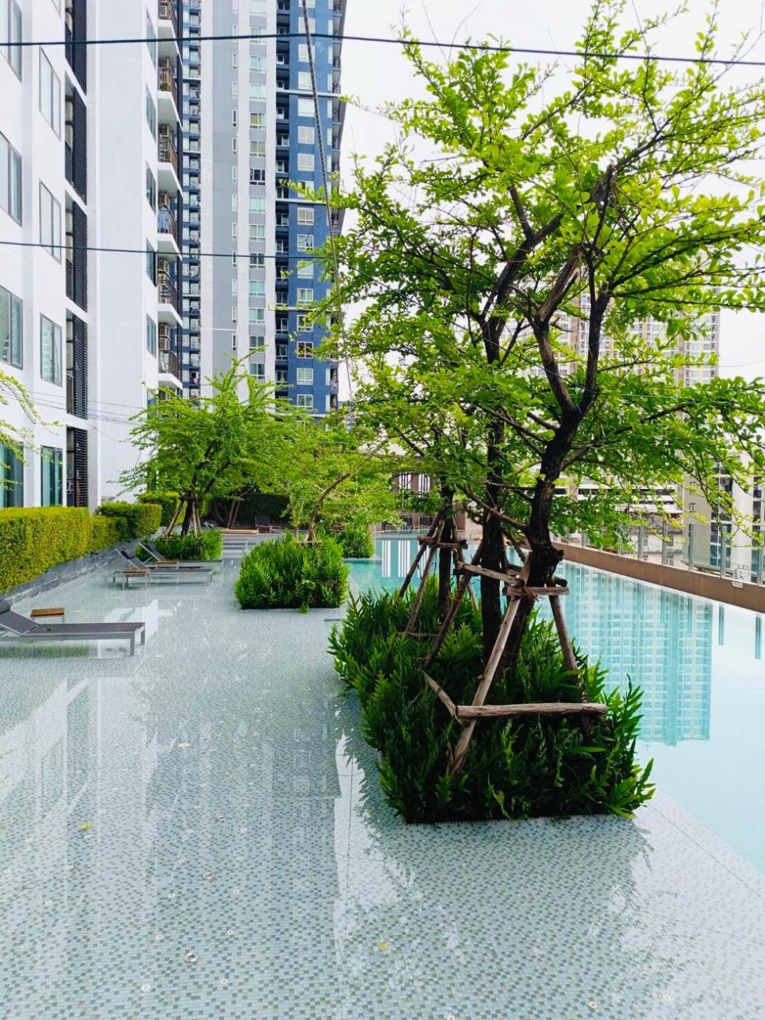 Cozy Poolside In Prime Location In On Nut Area *
