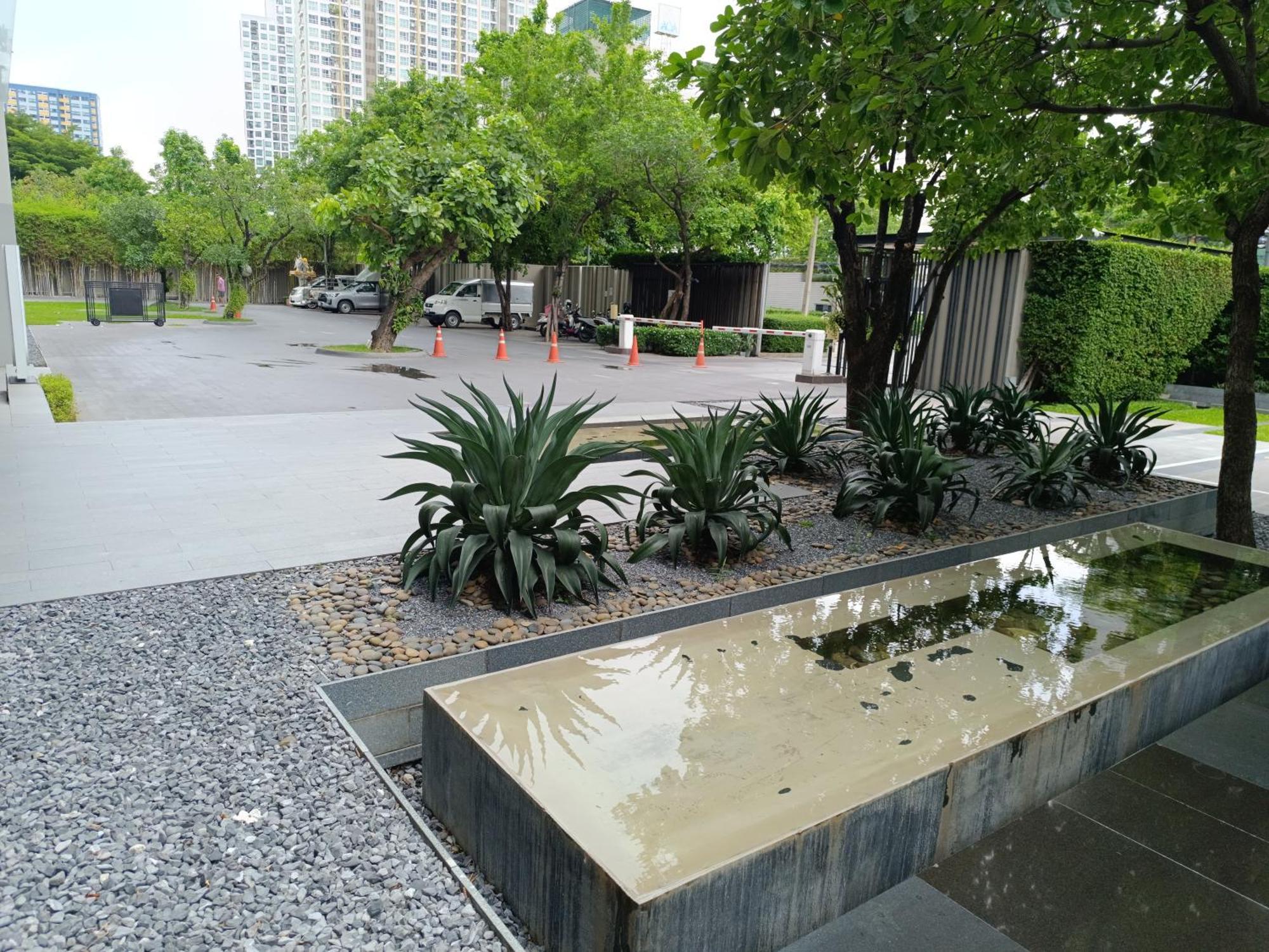 Apartment Cozy Poolside In Prime Location In On Nut Area