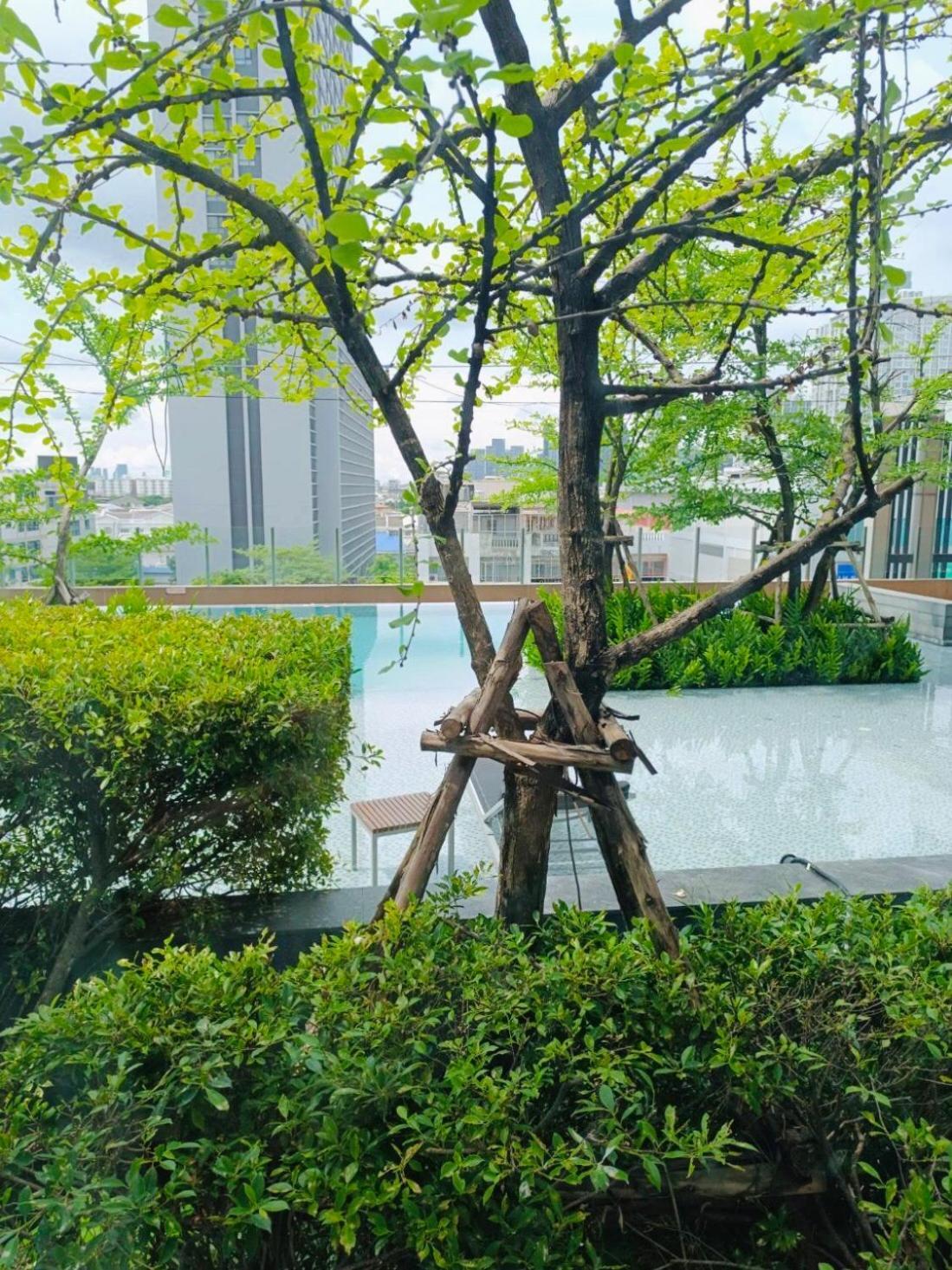 Cozy Poolside In Prime Location In On Nut Area Bangkok