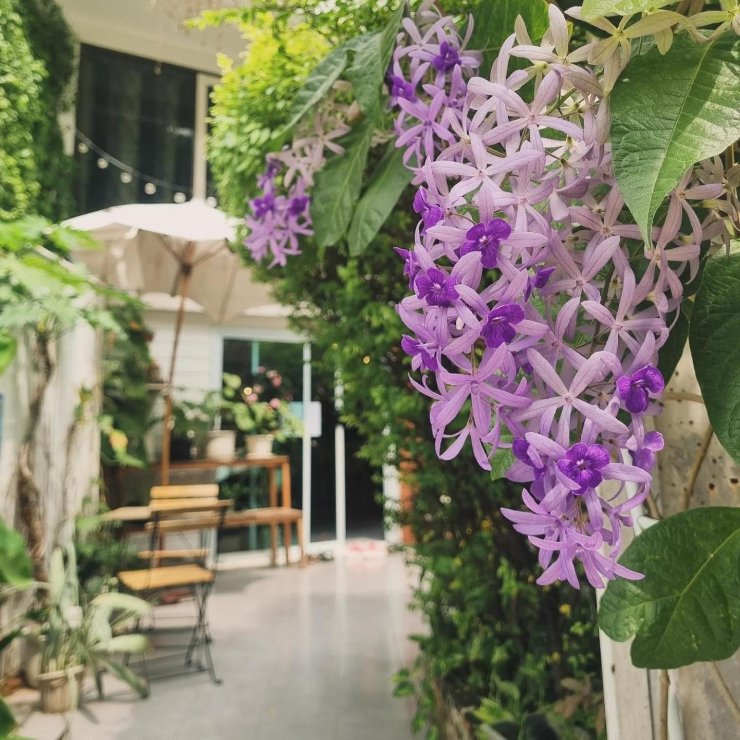 Home16 16 Sukhumvit *