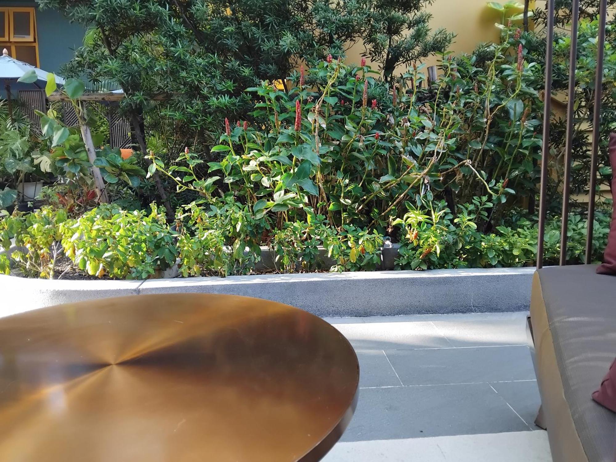 Blissfield At Bts Onnut Sukumvit 50 Apartment