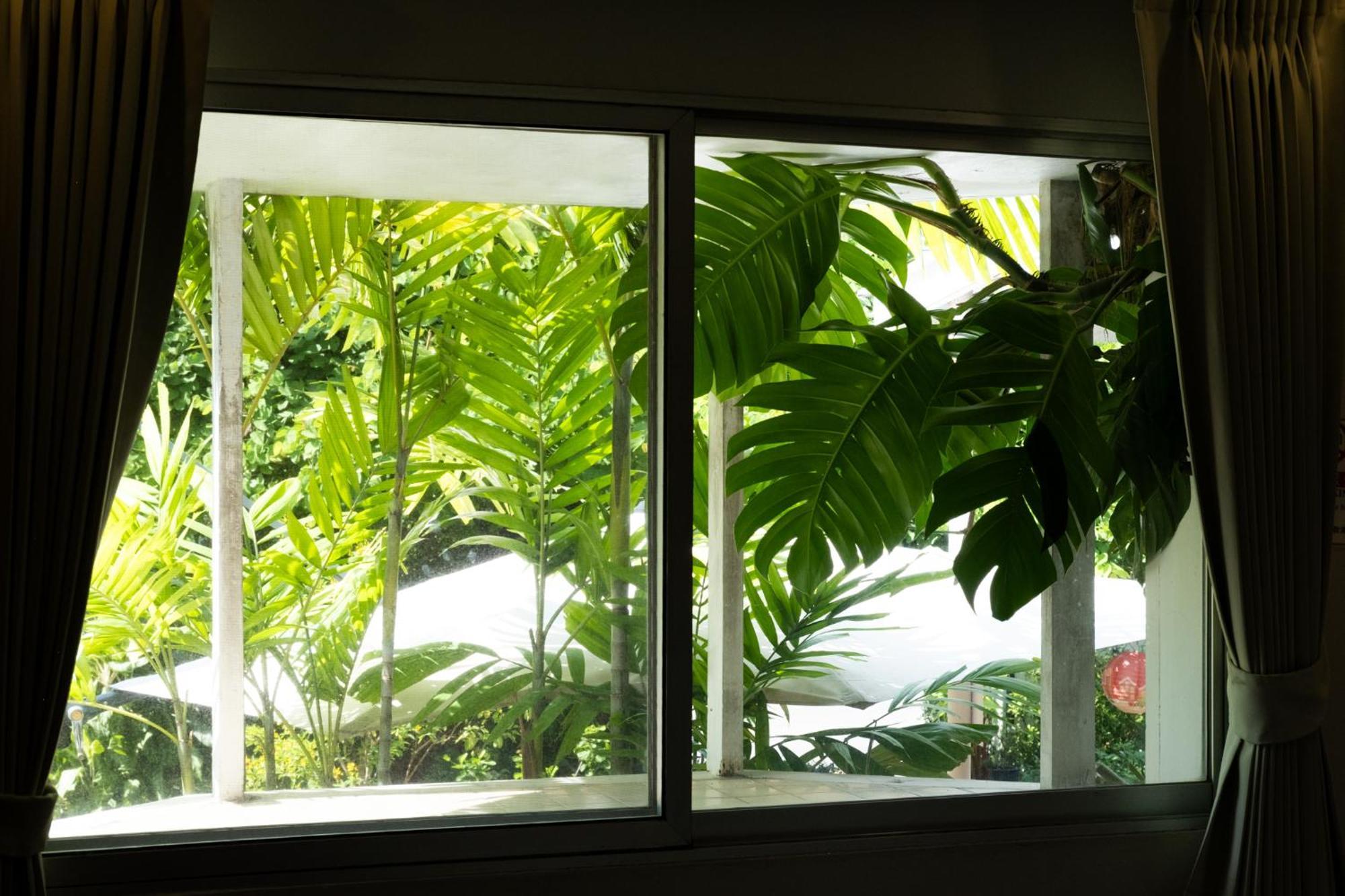 Seven Rabbit House Homestay *