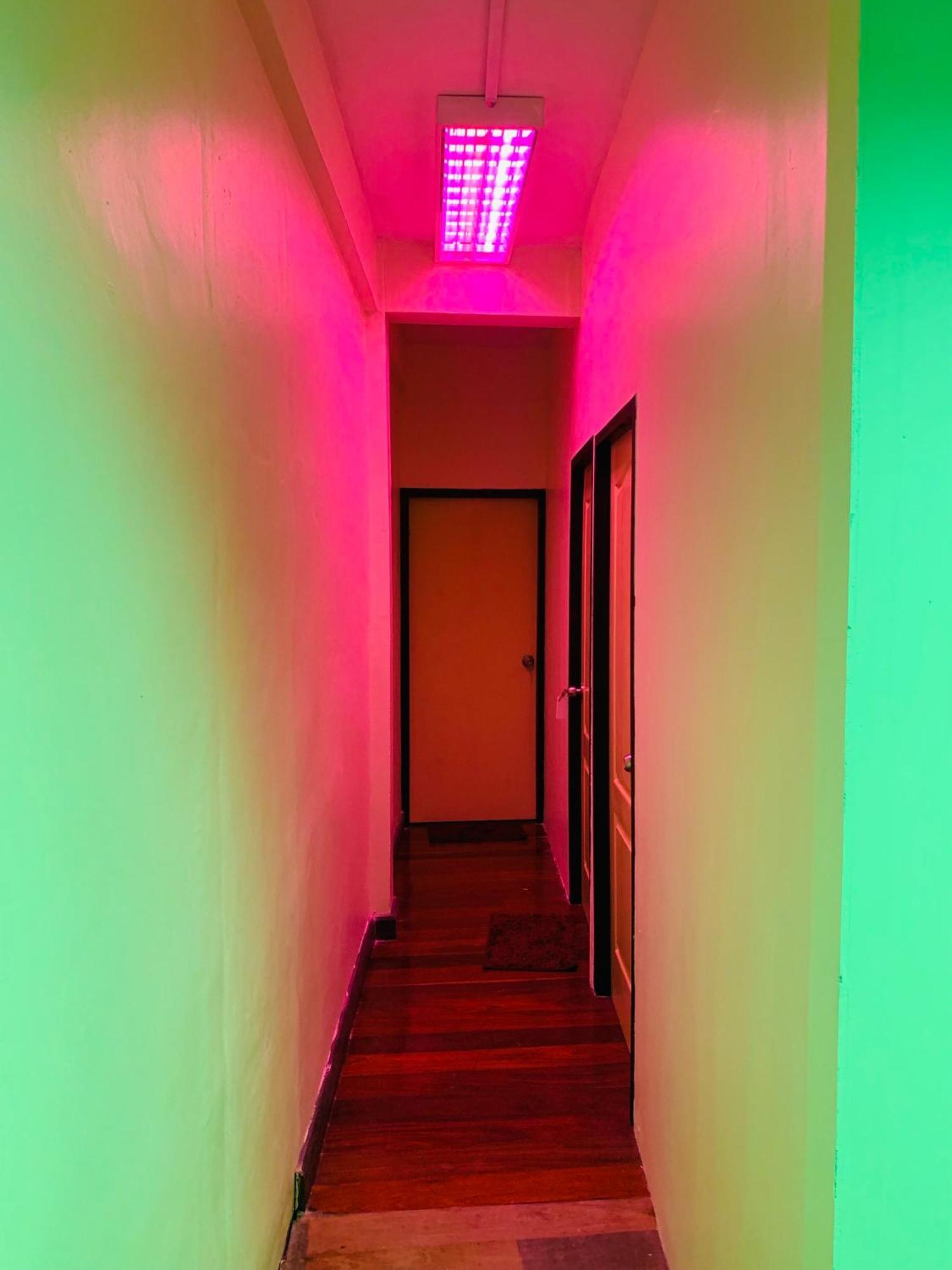 Roxx Social Hostel, Cafe & Bistro Hostel