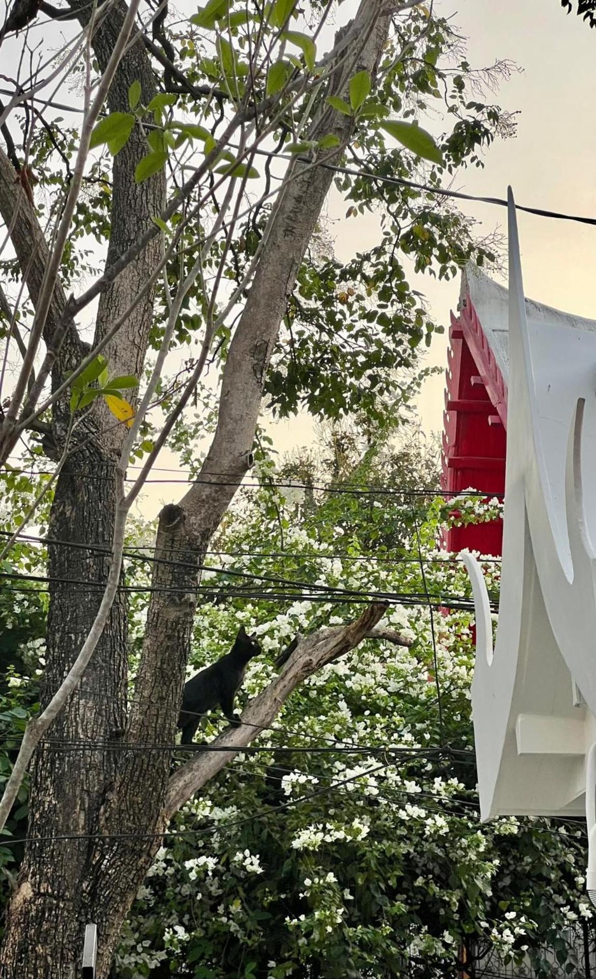 Hotel Baan Debtida