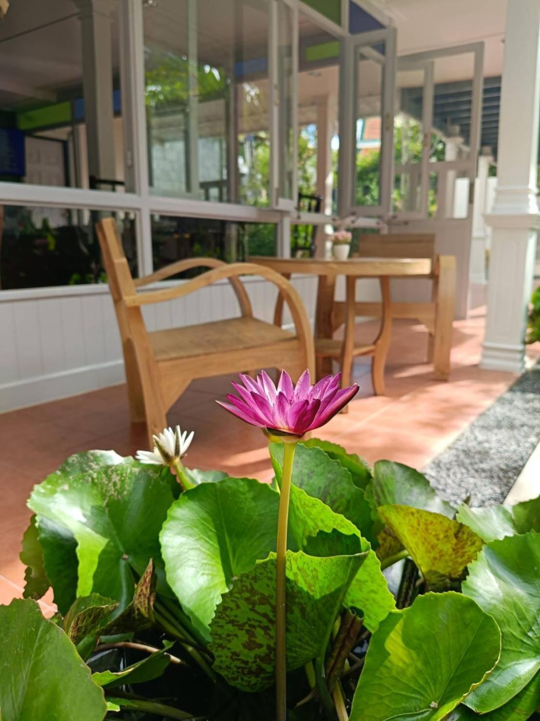Baan Debtida Bangkok