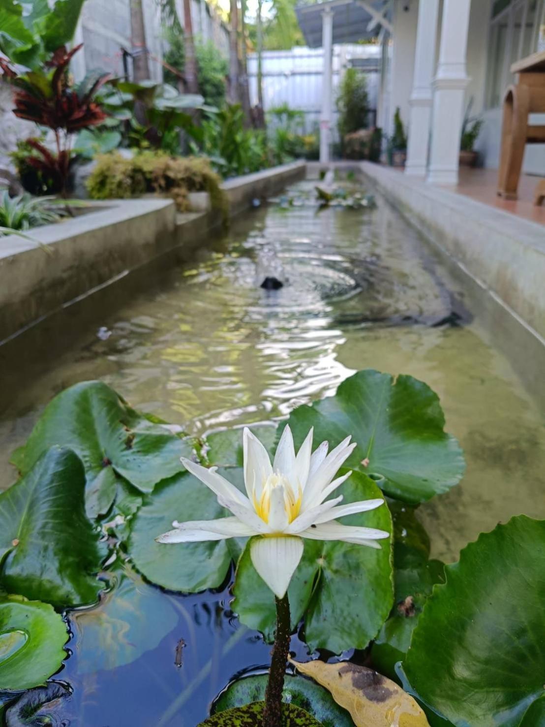 Hotel Baan Debtida Bangkok