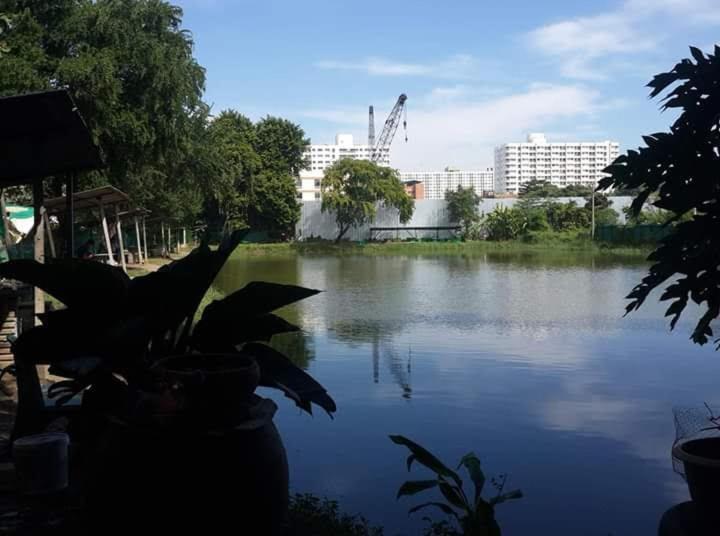 River View *