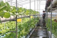 Gasthof Bansabai Hostelling International Bangkok